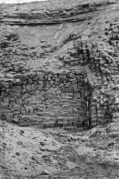 LA OCUPACIÓN LIMA TEMPRANO EN PACHACAMAC 149 Figura 4. Un segmento de la fachada de piedra del Templo Viejo que corresponde al segundo edificio.