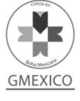 RESULTADOS Primer Trimestre de 2017 Contacto Inversionistas: Marlene Finny (55) 1103-5344 ir@mm.gmexico.com www.gmexico.com Cifras Relevantes en Dólares 1 México D.F., a 03 de mayo del 2017 Grupo México, S.