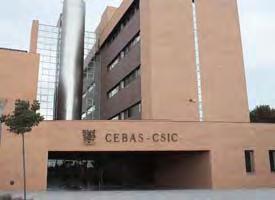 CEBAS-CSIC Departamento de Mejora Vegetal Programa de Mejora de Albaricoquero Responsables: José Egea David Ruiz Equipo: Manolo