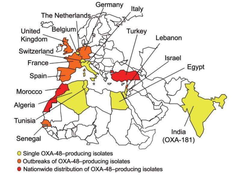 Enterobacterias productoras de carbapenemasa OXA-48 Identificadas por primera vez en K. pneumoniae en Estambul (Turquía) en 2003. Frecuentemente informadas como fuente de brotes hospitalarios de K.