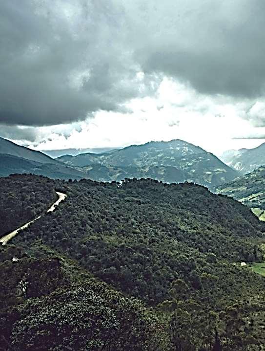 330 msnm y los 4.100 msnm, sobre las cuencas de los ríos Chicamocha y Suárez, que se unen para formar el río Sogamoso.