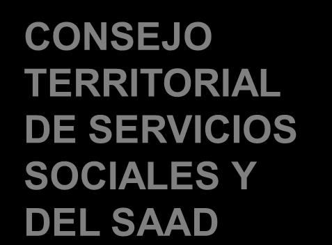 CONSEJO TERRITORIAL DE SERVICIOS SOCIALES Y