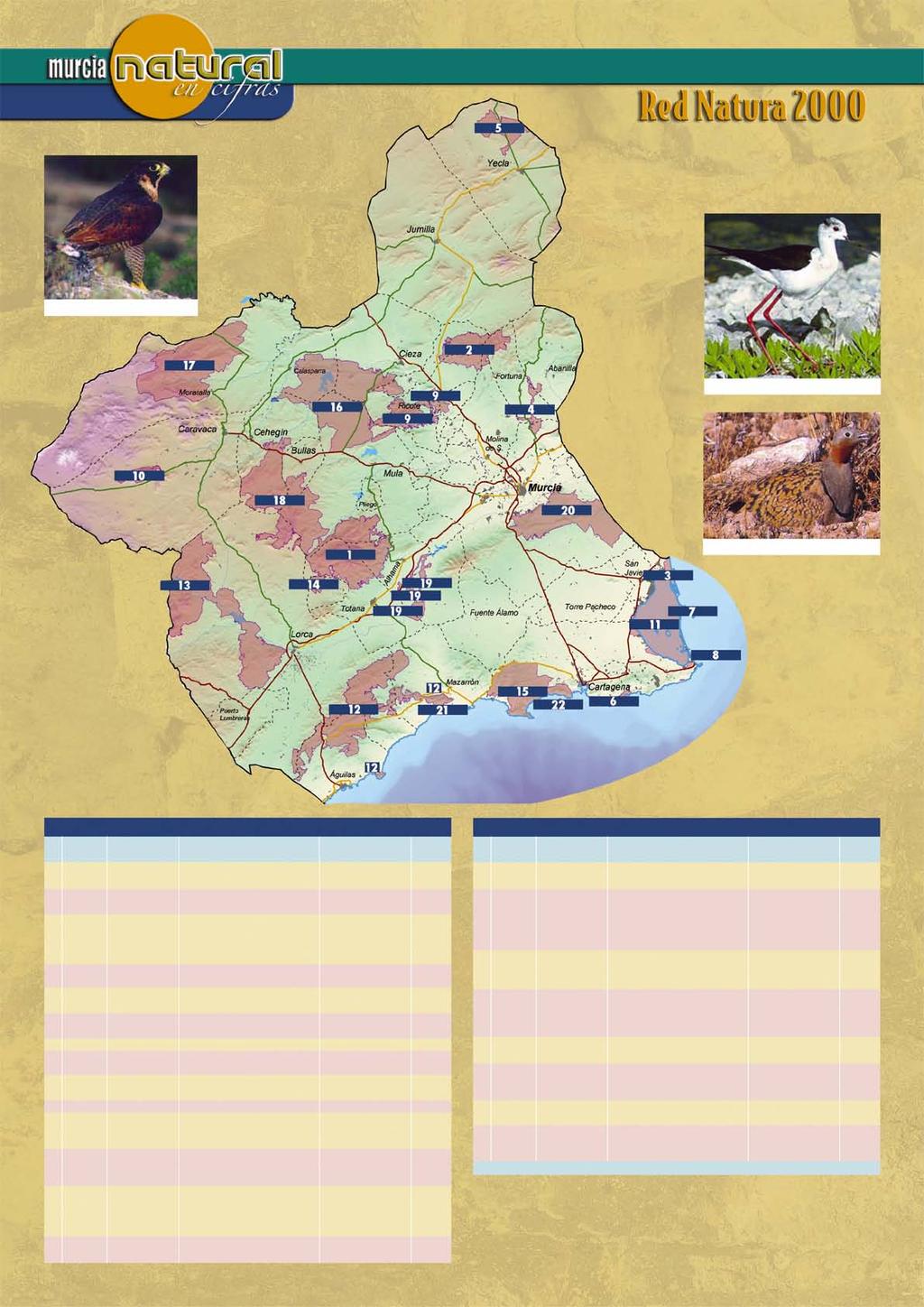 Zonas de Especial Protección para las Aves (ZEPA) Halcón peregrino. Cigüeñuela. Ortega.