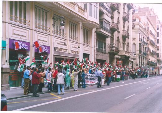 Español, organizamos una concentración frente a la Delegación de Gobierno a la que asistieron