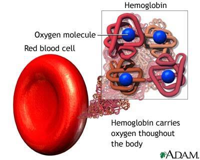 ANEMIA FALCIFORME La anemia falciforme es una enfermedad hereditaria de los glóbulos rojos.