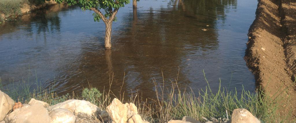 CONSIDERACIONES PARA EL MANEJO DEL RIEGO EN PARCELA A) El desarrollo de las nuevas tecnologías de riego y su incorporación a los regadíos para mejorar la eficiencia de riego y el uso del agua (Fotog.