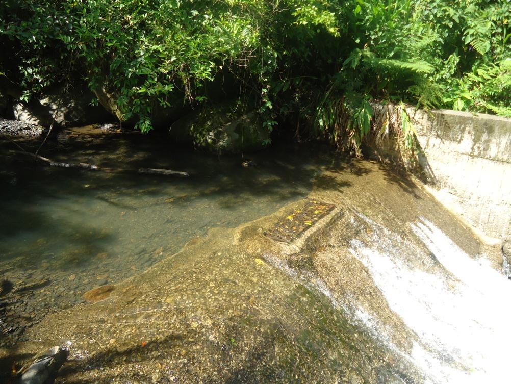3.1.2 Bocatoma sobre el río Perucho Al igual que la bocatoma del río Ilá (fotografía 4), la bocatoma del río Perucho es de tipo de fondo, se compone de un muro dique de 5,0 m de largo y cuenta con