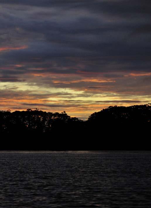 El monitoreo de la perdida de los bosques húmedos amazónicos del Perú debe realizarse anualmente, aplicando la misma metodología para que los resultados puedan ser comparables en el tiempo.