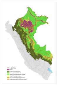 4.2. Características Generales de la Amazonía De acuerdo al Mapa de Cobertura Vegetal del Perú (MINAM, 2009) podemos encontrar diversos tipos de cobertura vegetal.