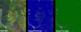 Memoria Descriptiva del Mapa de Bosque/No Bosque año 2000 y Mapa de pérdida de los Bosques Húmedos Amazónicos del Perú 2000-2011 Pacales Presentaron problemas de omisión, probablemente debido al