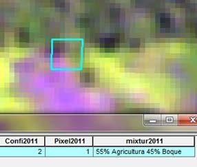 Mixtura: En este campo indicamos el porcentaje de las diferentes coberturas que pueden encontrarse en un píxel mixto, como por ejemplo que haya un porcentaje de Bosque y otro de No Bosque.