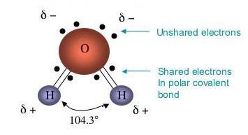 aparece un polo negativo, donde está el átomo de oxígeno, debido a la mayor densidad