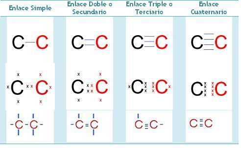2. Dado que el oxígeno y el nitrógeno son elementos muy electronegativos, al establecer enlaces covalentes con los