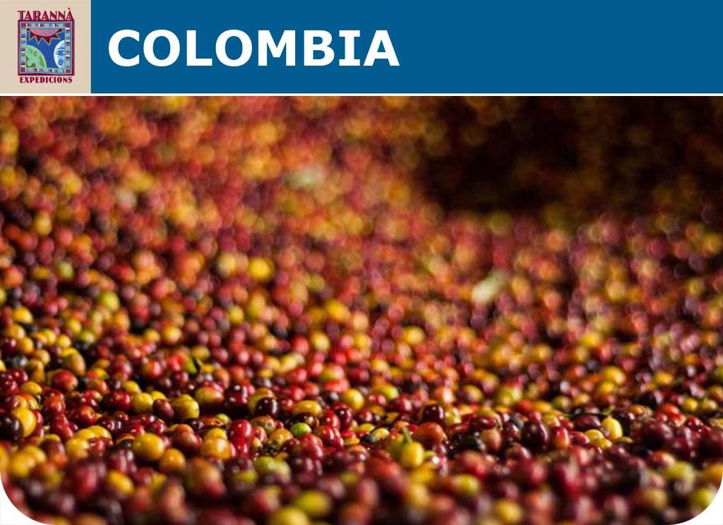 COLOMBIA. BOGOTÁ, MEDELLÍN Y PAISAJE CAFETERO Un viaje a Colombia con tres ejes diferenciados del país.