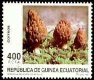 En república de Guinea Ecuatorial en 1997 se repite la misma seta dentro de la serie Micología y con un valor facial de 400 F.C.F.A. (francos de los Estados de África Central). etc.