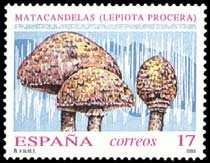 LA MICOLOGÍA EN LOS SELLOS 919 En ESPAÑA la primera serie de sellos dedicados a micología se emiten el 18 de marzo de 1993.