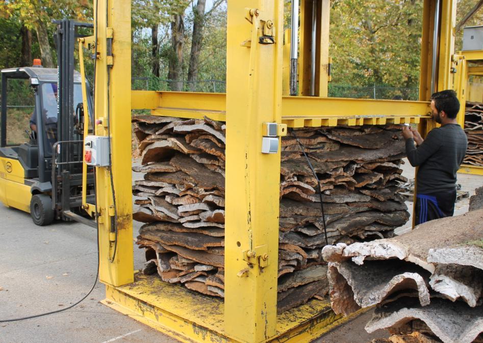La campaña de 2013 Cuarenta empresas productoras y forestales extrajeron y procesaron el año pasado un tercio de la saca. La producción quedó como sigue: Corcho de calidad 2013: 308.833 Kg.