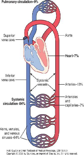 Circulación pulmonar 9% Función División y Distribución Vena cava superior Aorta Corazón 7% Vena cava