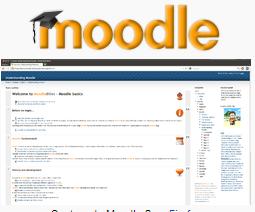 Un ejemplo de ello es la plataforma Moodle, que está diseñada para desarrollar cursos interactivos en línea.