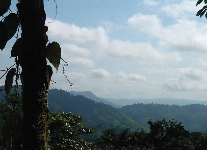 Reserva Ecológica MACHE-CHINDUL (Esmeraldas) Esta reserva