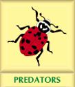 depredadores y parasitoides
