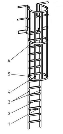 Página 4 de 5 - El diámetro mínimo de la jaula de protección en el arranque será de 0,70 m.