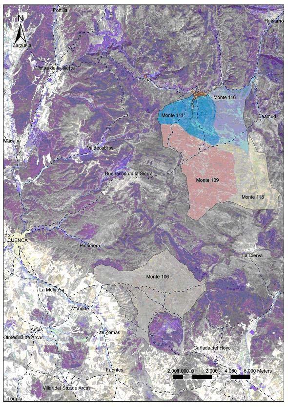 Área de estudio Montes seleccionados: 106, 111, 109, 118 y 116. Provincia: Cuenca Término municipal y propietario: Cuenca. Superficie forestal: 53.