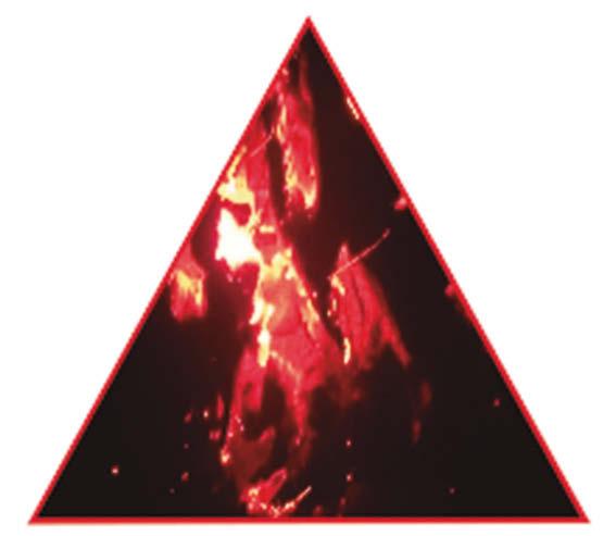El comportamiento del fuego en los incendios forestales 39 Glosario Celulosa. Polisacárido que forma la pared de las células vegetales y es el componente fundamental del papel. Collado.
