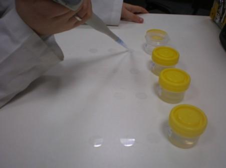 Diatomeas bentónicas va eliminando el sobrenadante y se añade agua destilada a la muestra, tratando de no volver a resuspender el sedimento.