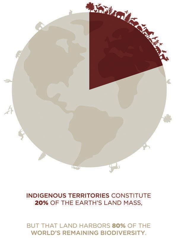 1 ANTECEDENTES 20% de la tierra son territorios indígenas Alberga el