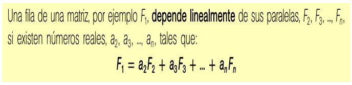 Matriz Inversa Dependencia lineal de