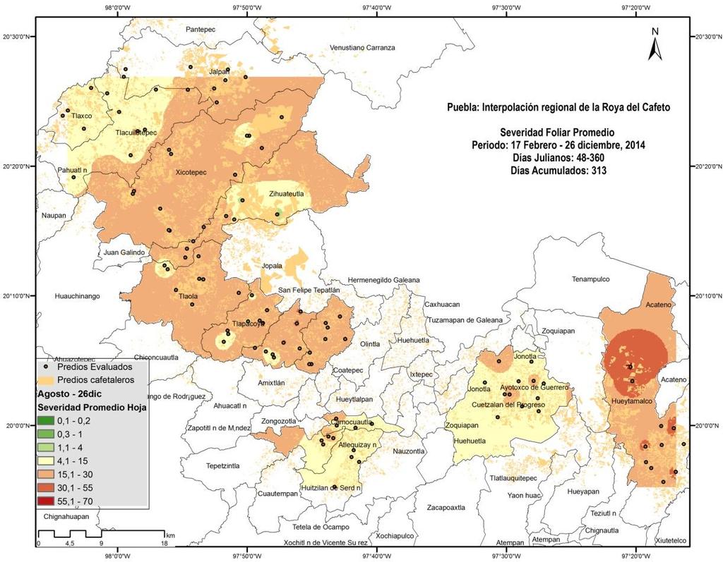 Figura 6. Distribución regional de roya del cafeto en Puebla estimada mediante la severidad promedio foliar en diciembre, 2014.