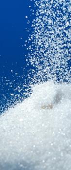 White de Azúcar Sugar Refinada Imports