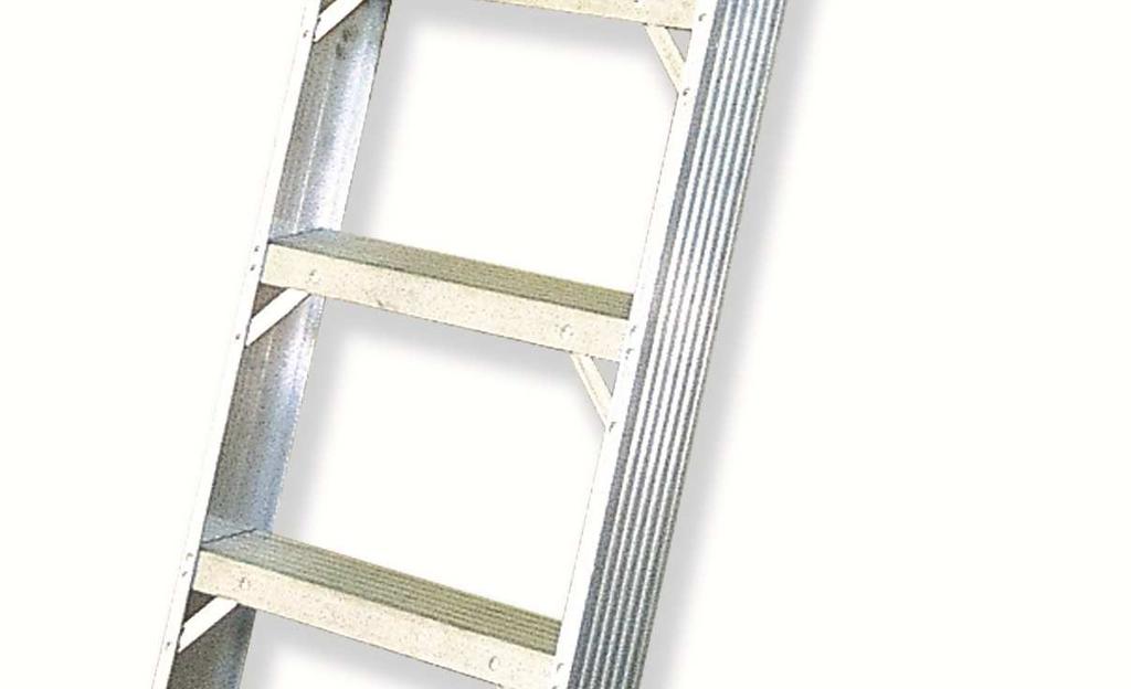 DE PIES DE RECAMBIO escalera fija de acceso con aros de protección 3 Escalera fija