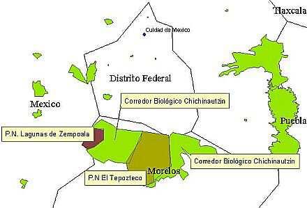 Figura 1: Ubicación del Parque Nacional El Tepozteco (PNT) entre del Área de Protección de Flora y Fauna Corredor Biológico Chichinautzin (APFF-COBIO).