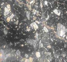 Obsérvese la masa en agregados de minerales félsicos. Foto 15. Toba lítica lapíllica. Grupo El Cobre.
