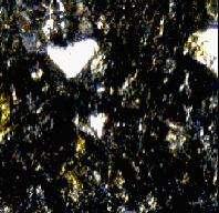 Cristales de plagioclasas pelitizados, fragmentos líticos de efusivos con procesos de oxidación, cemento zeolítico de contacto,