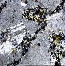 típica monzonítica, cristales de plagioclasas.