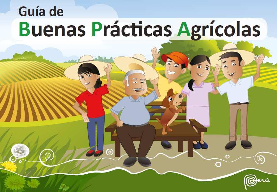 FUENTE: Guía de Buenas Prácticas Agrícolas Buenas Prácticas Agrícolas Conjunto de principios, normas y recomendaciones técnicas aplicables a las diversas etapas de producción