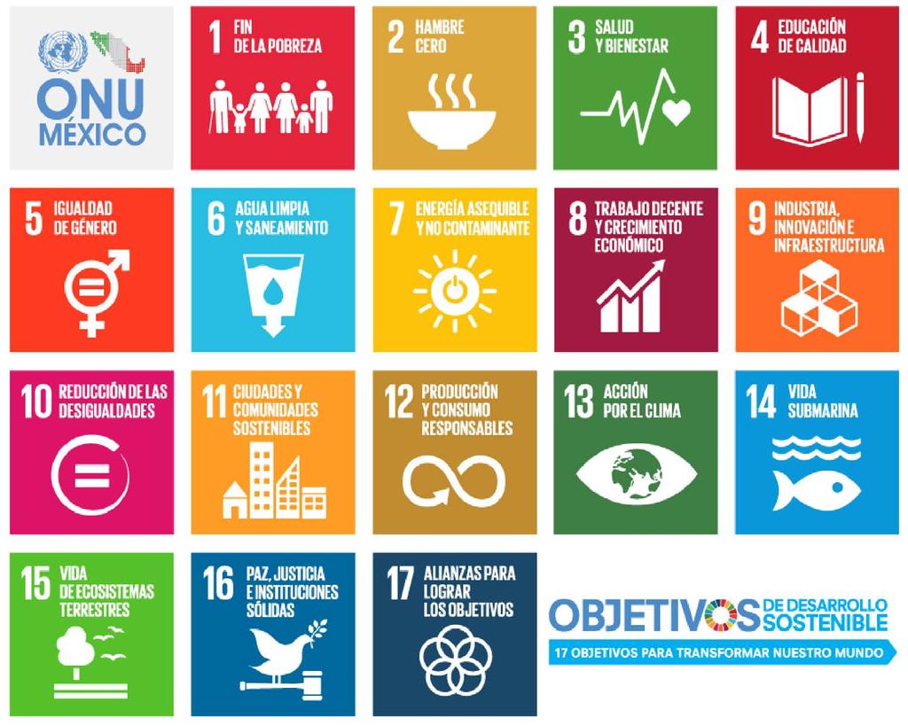 El 25 de septiembre de 2015 los 193 Estados Miembros de las Naciones Unidas adoptaron la Agenda 2030 para el Desarrollo Sostenible: un plan de acción compuesto por 17 Objetivos de Desarrollo