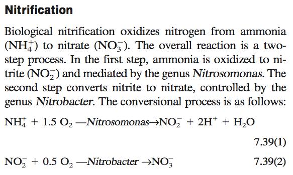 Quién nitrifica en las plantas de tratamiento de efluentes?