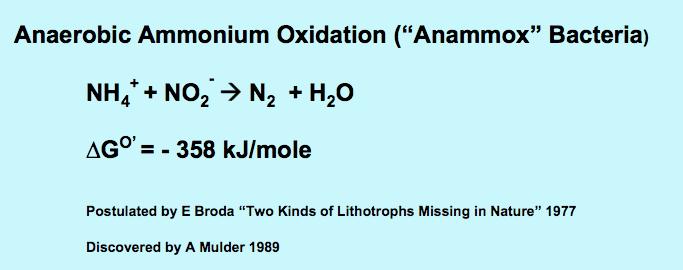 Predicción teórica de la oxidación anaeróbica de amonio Z Allg Mikrobiol. 1977;17(6): 491-3.