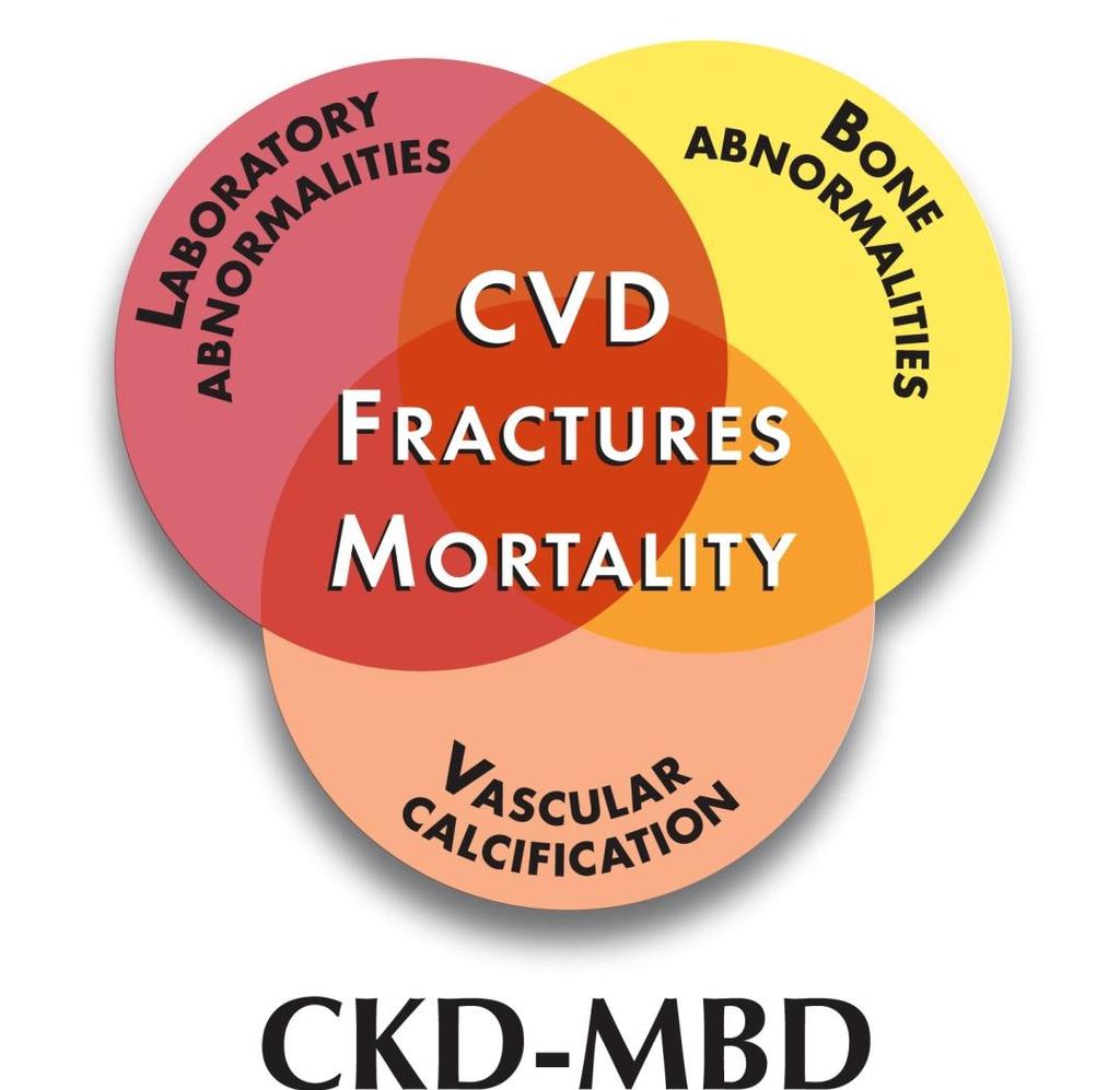 Chronic Kidney Disease Mineral Bone Disorder (CKD MBD)
