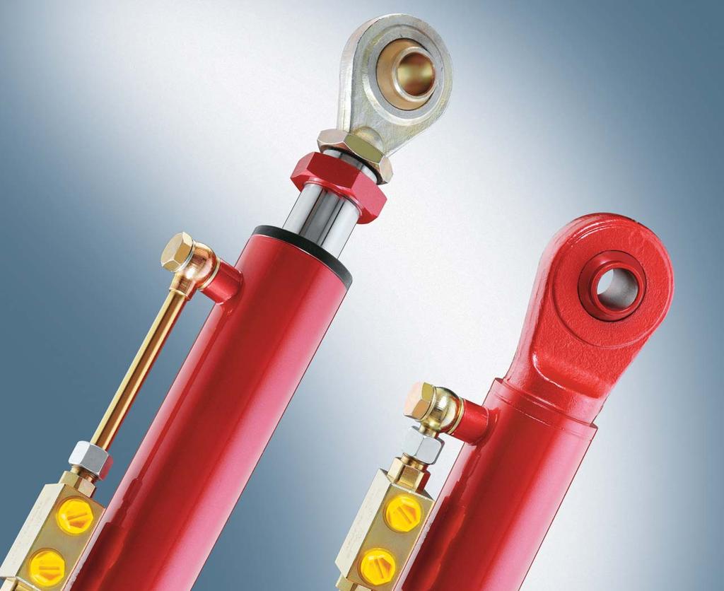 Cilindros hidráulicos para aplicaciones especiales Hydraulic cylinders for special applications Características técnicas Technical Data Micro cilindros Cilindro Volteo de