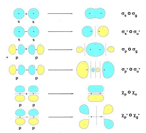 El orbital de enlace incrementa la densidad electrónica entre los núcleos pero