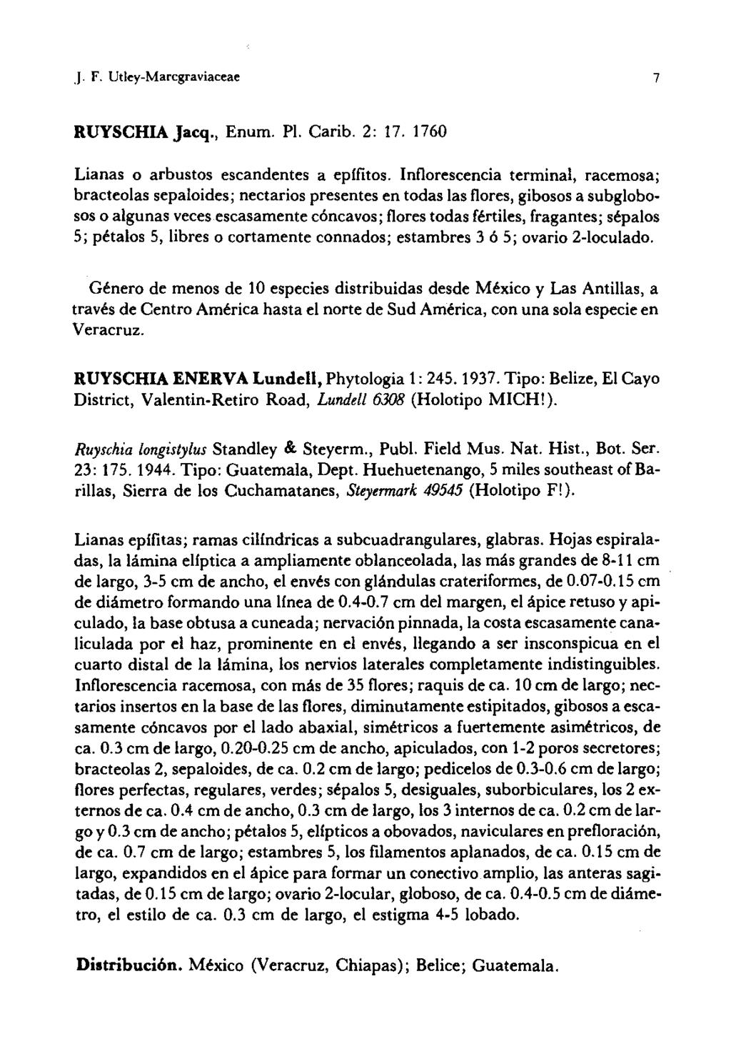 J. F. Utl~y-Marcgraviaceae 7 RUYSCHIA Jacq., Enum. PI. Carib. 2: 17. 1760 Lianas o arbustos escandentes a epifitos.