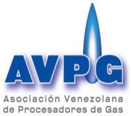 Asociación Venezolana de Procesadores de Gas (AVPG) Venezuelan Gas Processors Association GPA Venezuelan Chapter Estructura Organizacional Asamblea de Miembros Junta Directiva Comité Ejecutivo