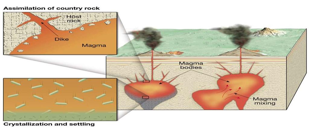 Evolución del magma Mezcla Magmas de diferente