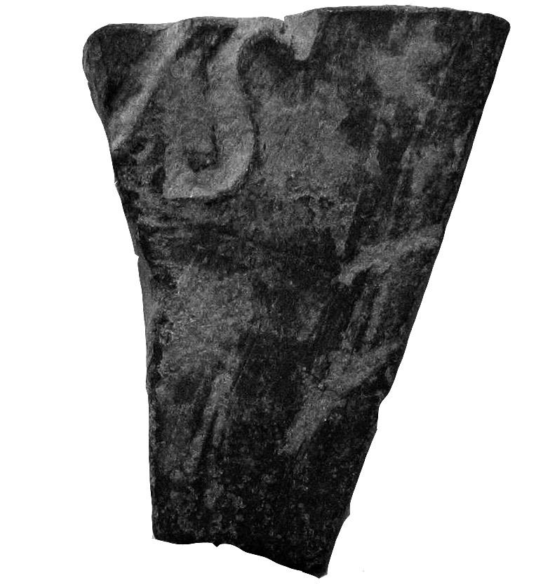 Bronces epigráficos inéditos del Museo de Burgos 283 3. Fragmento trapezoidal de placa de bronce, correspondiente al ángulo inferior derecho, cuyos bordes conserva.