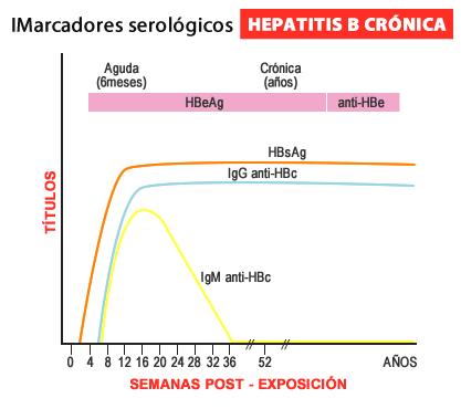 Hepatitis B (VHB) Crónica: HBsAg reactivo (>6m) ó : HBsAg reactivo IgG